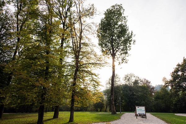 Jesen v Keršmančevem parku