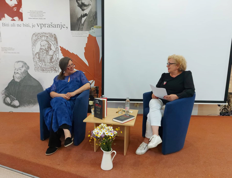 Vesna V. Godina: Zablode feminizma