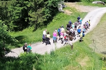 Kamniška literarna transverzala v Snoviku