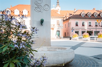 Vodnjak na Glavnem trgu