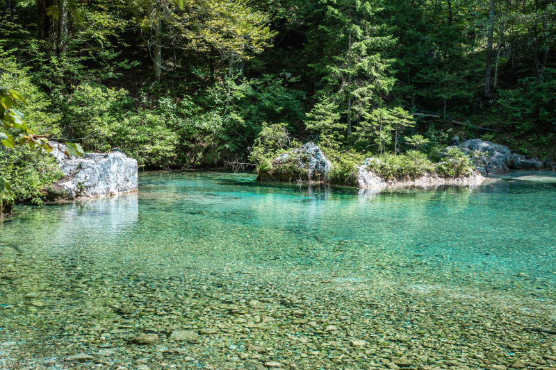 Izvir Kamniške Bistrice