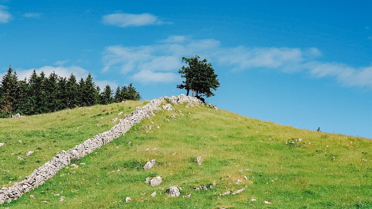 Branje je iskanje 2023/2024: Domača potepanja