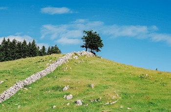 Branje je iskanje 2023/2024: Domača potepanja