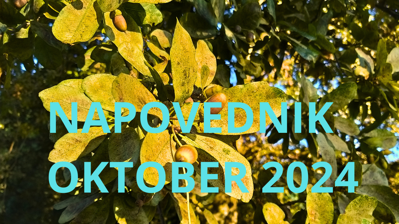 Napovednik dogodkov v oktobru 2024