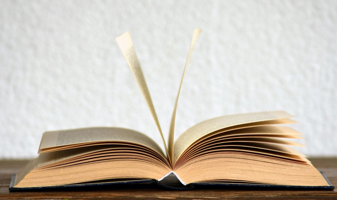 Osebno o literaturi