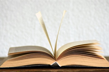 Osebno o literaturi