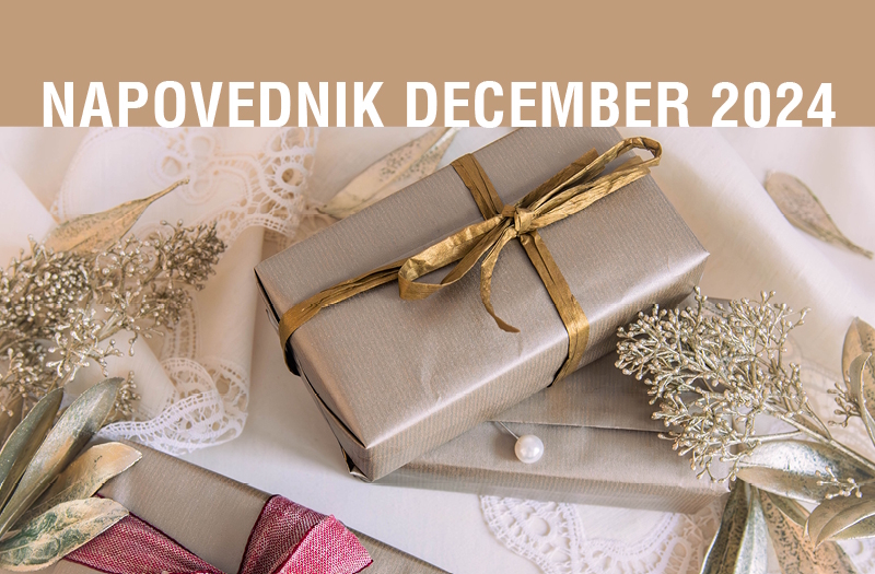 Napovednik dogodkov v decembru 2024