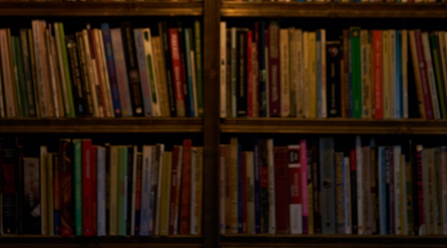 Veronika Simoniti: Časi literature