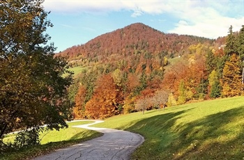 Rezultati fotografskega natečaja "V škrlat oblači veje, povsod bogastvo seje"